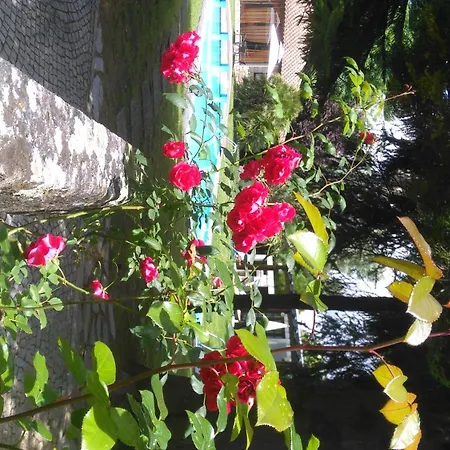 Дом отдыха Casa Da Boavista Санта-Мария-да Фейра