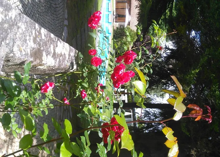 Дом отдыха Casa Da Boavista Санта-Мария-да Фейра